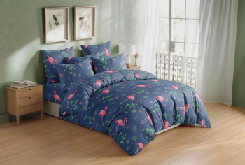 Комплект постельного белья Танец фламинго бязь