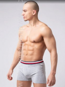 Трусы мужские R124 Opium боксеры