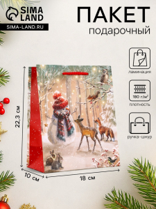 Пакет подарочный новогодний ламинированный, «Встреча друзей», 18?10?22.3 см