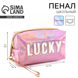 Пенал школьный Lucky, иск. кожа, 18?10?7 см, розовый