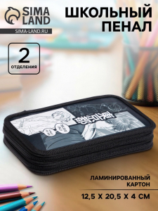 Пенал школьный, 2 секции, 12.5?20.5?4 см«Аниме принт»