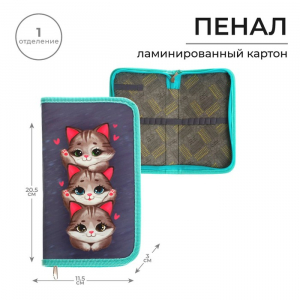 Пенал 1 секция 115 х 205 х 30 мм, Calligrata 