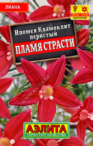 1076L Ипомея Квамоклит Пламя страсти 15 шт