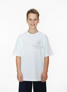 Фуфайка (футболка) для мальчика Успех-8