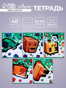 Тетрадь 48 листов в линейку, Calligrata «Пиксели», МИКС