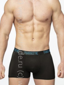TS7801-2 Трусы мужские Дроп Tousite боксеры