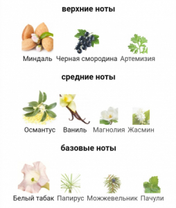 AMOUAGE SUNSHINE edp (w) 100ml