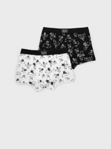 Трусы-боксеры для мальчика, 2 шт в комплекте