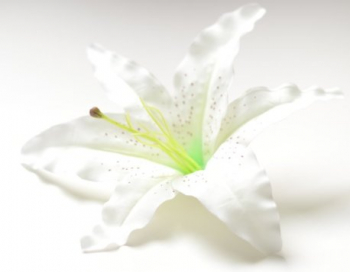 Искусственные цветы, Голова лилии для ветки, венка белый