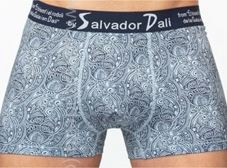 SD2055-1 Трусы мужские Salvador Dali Дроп боксеры