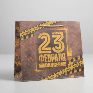 Пакет крафтовый горизонтальный Danger, ML 27 ? 23 ? 11,5 см   5187804