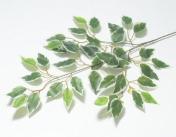 Искусственные цветы, Ветка кустовая фикус 42 листа (1010237)