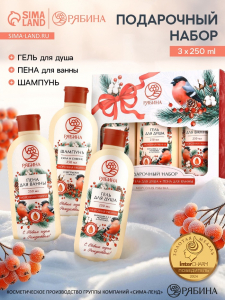 Подарочный набор косметики новогодний «С Новым годом и Рождеством», гель для душа, шампунь и пена для ванны 3?250 мл, РЯБИНА