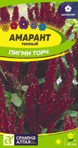 Амарант Пигми Торч темный Сем.Алтая