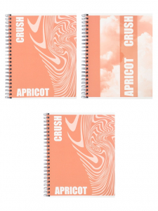 Тетрадь 96 листов в клетку, на гребне, Apricot, МИКС