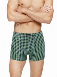 Трусы мужские GS7917 Gentlemen шорты