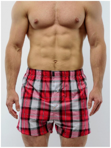 SGD SG3310-11 /трусы-шорты муж/