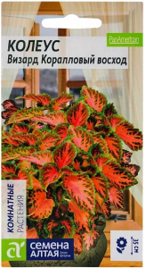 Колеус Визард Коралловый Восход