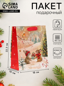 Пакет подарочный новогодний «Зайки», 18?22.3?10 см