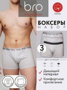 b75005к Трусы мужские (в упаковке 3 штуки) BRO боксеры