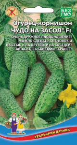 8017N Огурец Чудо на засол F1 10шт