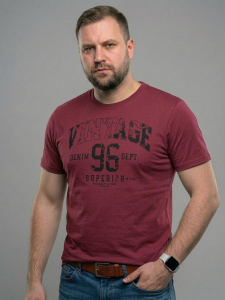 Футболка мужская арт. 02376/Vintage