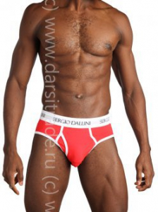 SG2940-1 Трусы мужские Дроп Sergio Dallini слип