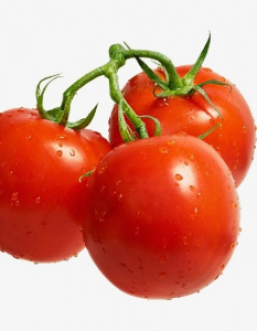 Томат Вкусника (Селекция 