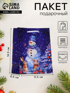 Пакет подарочный новогодний «Дивный снеговик», 11.5?14.5?6.5 см