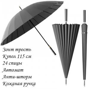 Umbr-L-605-Gray