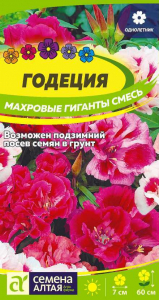 Годеция Махровые Гиганты Сем.Алтая