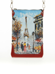 Сумка Nicco print