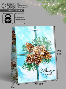 Пакет подарочный новогодний ламинированный «С Новым годом», MS 18?23?8 см