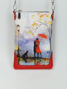 Сумка Nicco print