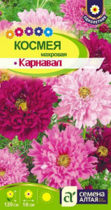 Космея Карнавал махровая