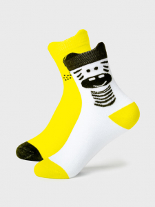 Носки для мальчика, 2 пары в комплекте