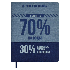 Дневник школьный, формат А5+, 48л., твёрдый переплёт с поролоном, искусственная кожа 