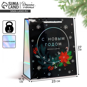 Пакет новогодний подарочный голографический «С Новым годом», ML 23?27?11.5 см