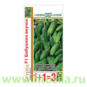 Огурец Бабушкин внучок F1 серия 1+1/20 шт.корнишон автор. (семена для проращивания)