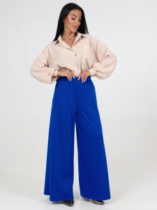 Страйк - брюки василек