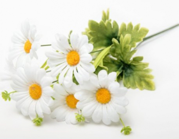 Искусственные цветы, Ветка в букете ромашка 6 голов (1010237) белый