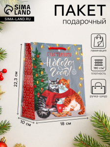 Пакет подарочный новогодний ламинированный «Счастливого нового года», 18?10?22.3 см
