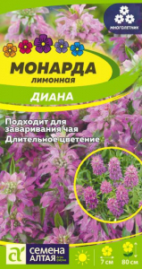 Монарда Диана Лимонная Сем.Алтая