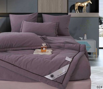 Одеяло Boris E-Shine Бархат Сатин с простыней на резинке по кругу и наволочками ODBORSH02