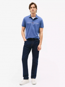 Embroidered Tommy Logo Polo