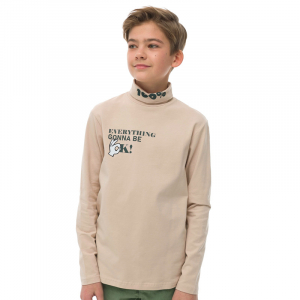 BFJS4295/1U джемпер для мальчиков (1 шт в кор.)