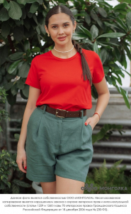 Футболка прямая        (арт. 101106-5)