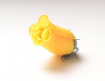 Искусственные цветы, Голова бутона розы (d-40mm) для ветки, венка