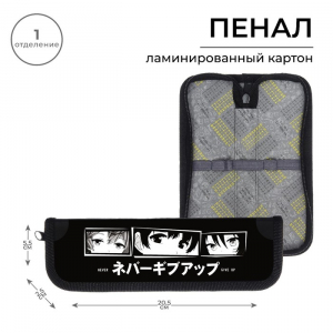 Пенал 1 секция, 55 х 205 х 25 мм, Calligrata 