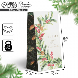 Пакет без ручек новогодний «Время волшебства», 10?19.5?7 см